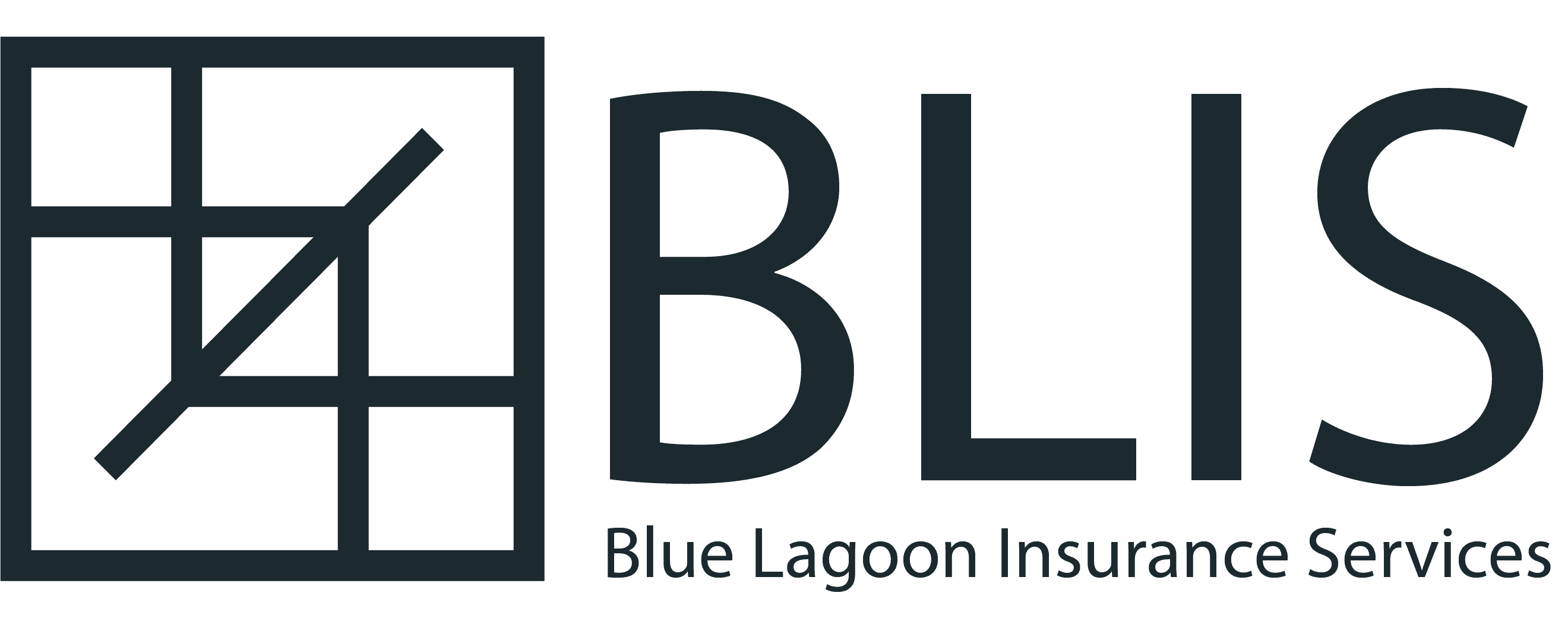 Blue Lagoon Insurance Services