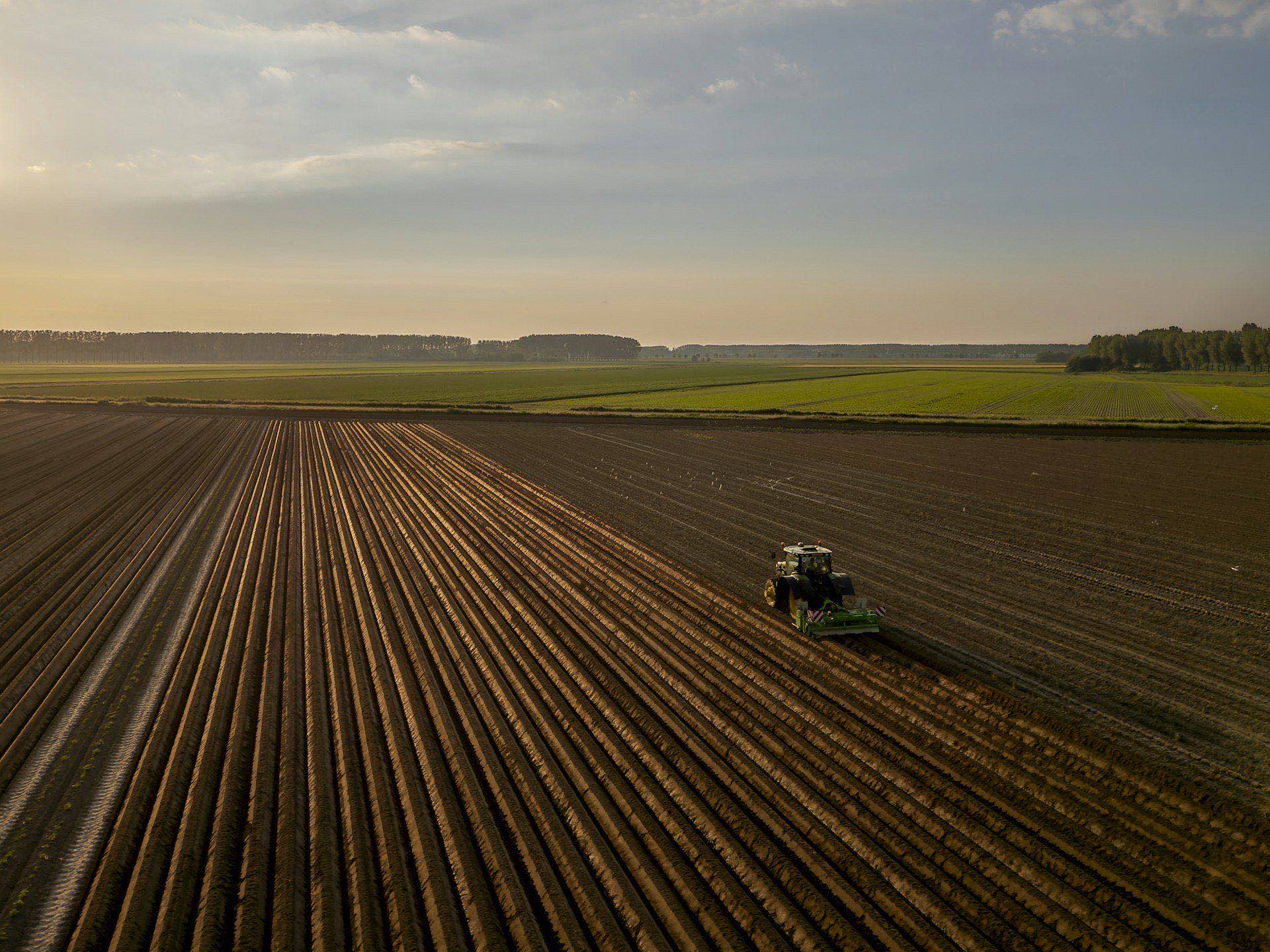 Aerial view of a tractor plowing straight rows across an agricultural field at golden-hour sunset